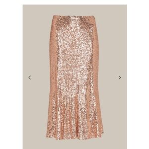 NWT Whistles sequin midi skirt